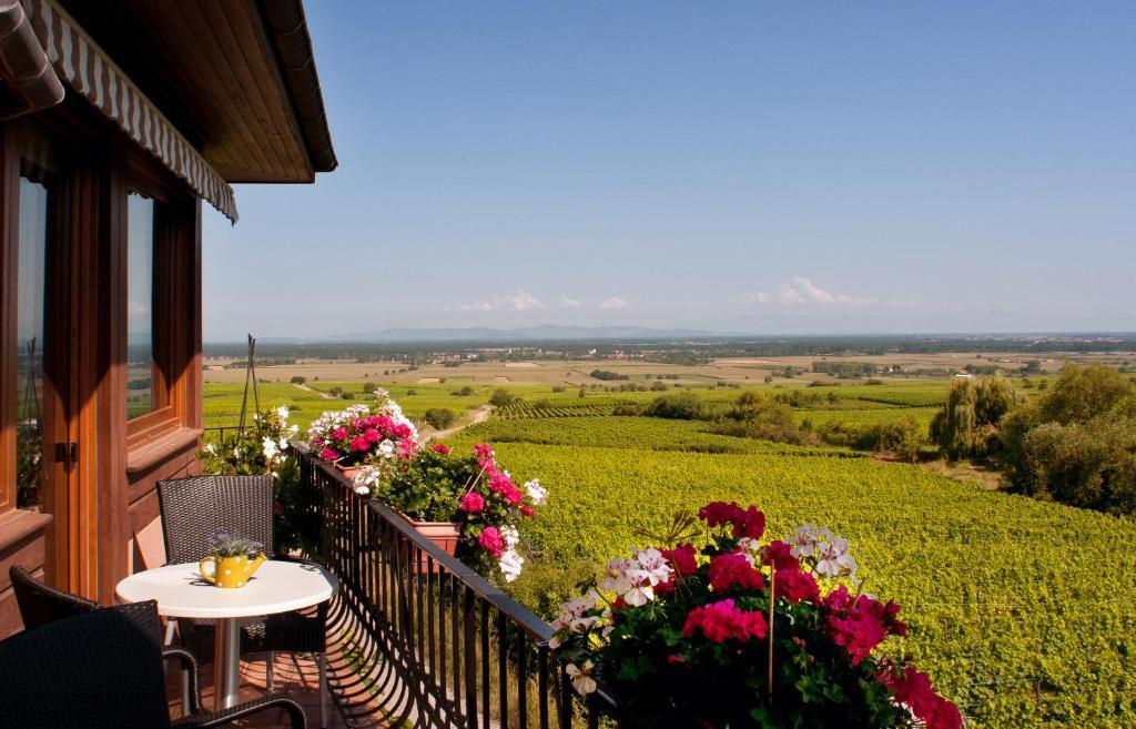 زيلينبيرغ Hotel Restaurant Au Riesling المظهر الخارجي الصورة