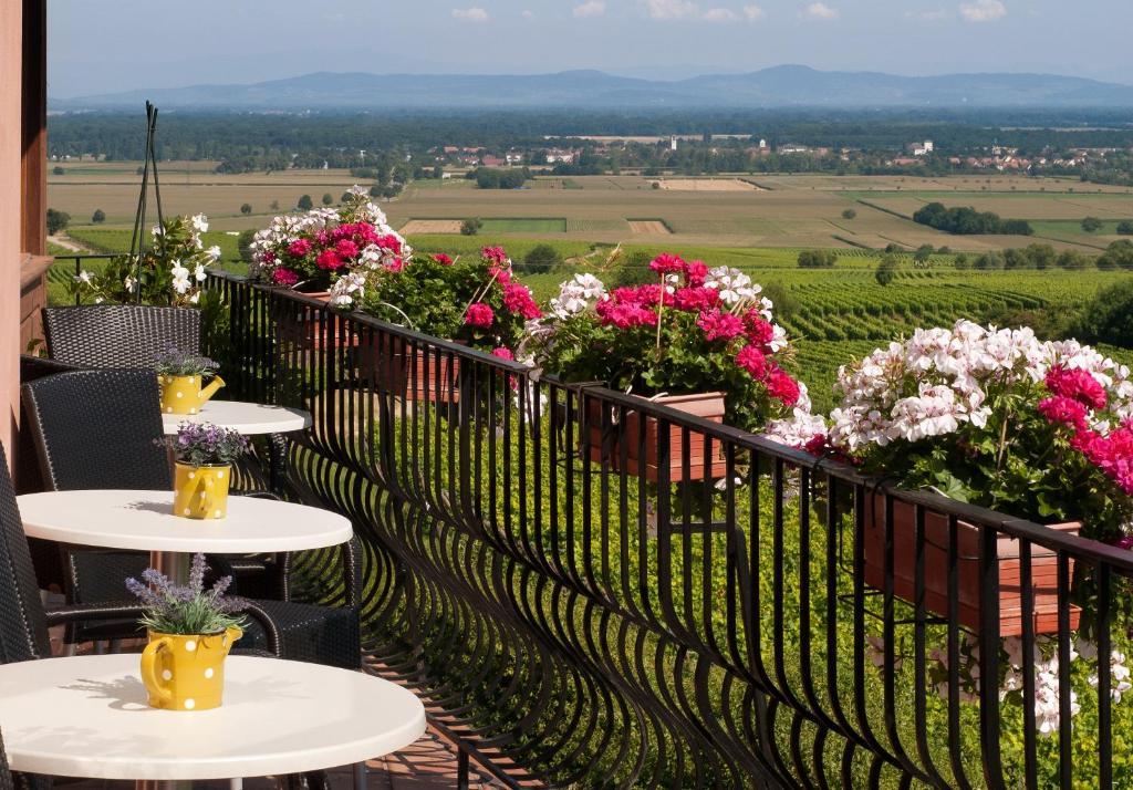 زيلينبيرغ Hotel Restaurant Au Riesling المظهر الخارجي الصورة